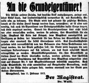 Bergedorfer Zeitung, 12. Februar 1915