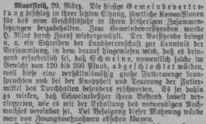 Bergedorfer Zeitung, 30. März 1915