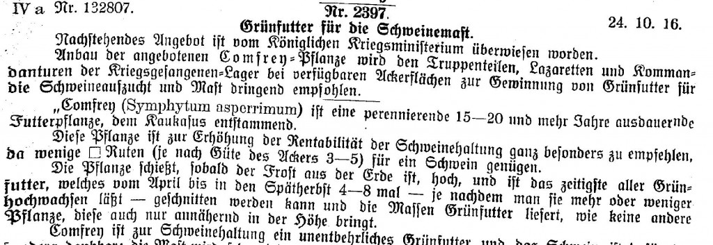 Korpsverordnungsblatt für das IX. Armeekorps, Jg. 3 (1916), S. 895
