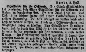 Bergedorfer Zeitung, 5. Juli 1915