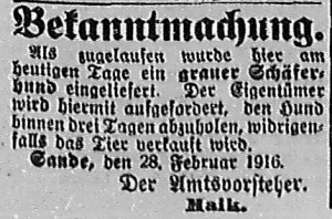 Bergedorfer Zeitung, 2. März 1916