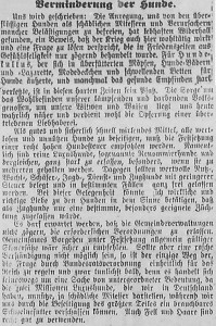 Bergedorfer Zeitung, 26. Februar 1916
