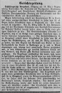 Bergedorfer Zeitung, 19. Mai 1916