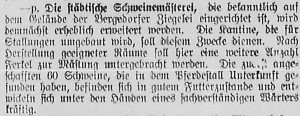 Bergedorfer Zeitung, 7. Juli 1916