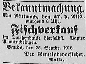 Bergedorfer Zeitung, 25. September 1916